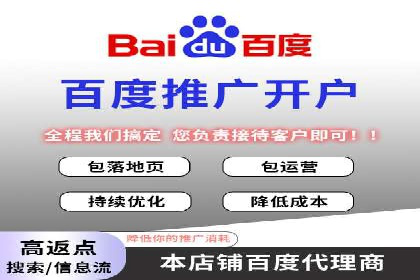 SEM推广策略如何制定——以某电商平台的成功案例为例